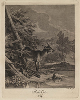 KG 01076
          <br/>
          Entwurf einiger Thiere. Vierter Theil. (16 bladen)
          <br/>
          <em>Ridinger, Johann Elias (1698-1767)</em>